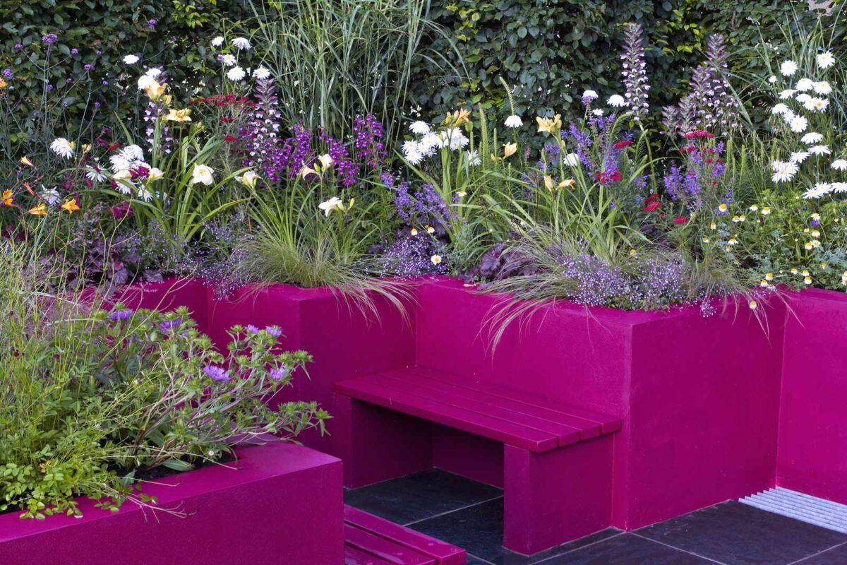 A vibrant garden corner with magenta planters and a matching bench. The full-sun planters hold an array of non-invasive flowers and perennials, creating a colorful and lush backdrop.